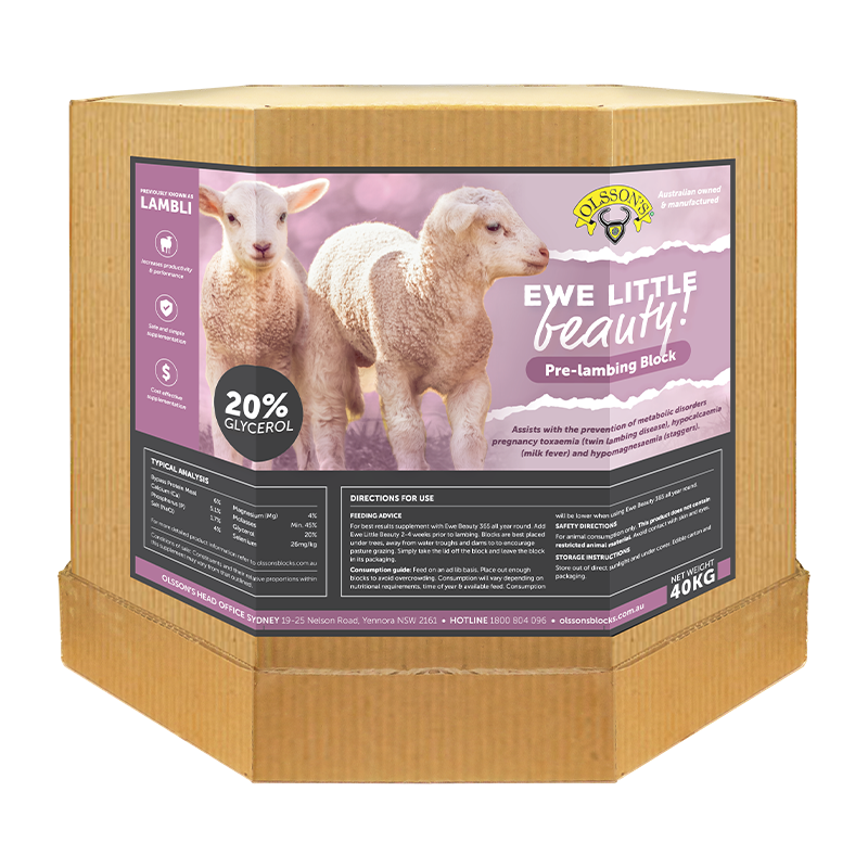 Olssons Ewe Little Beauty (lambli) 15kg