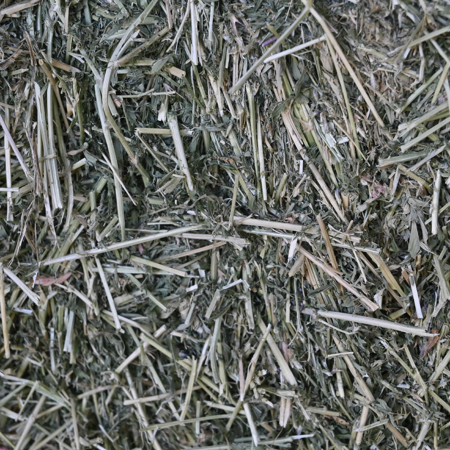 Firsts - Lucerne Hay Small Square Bale