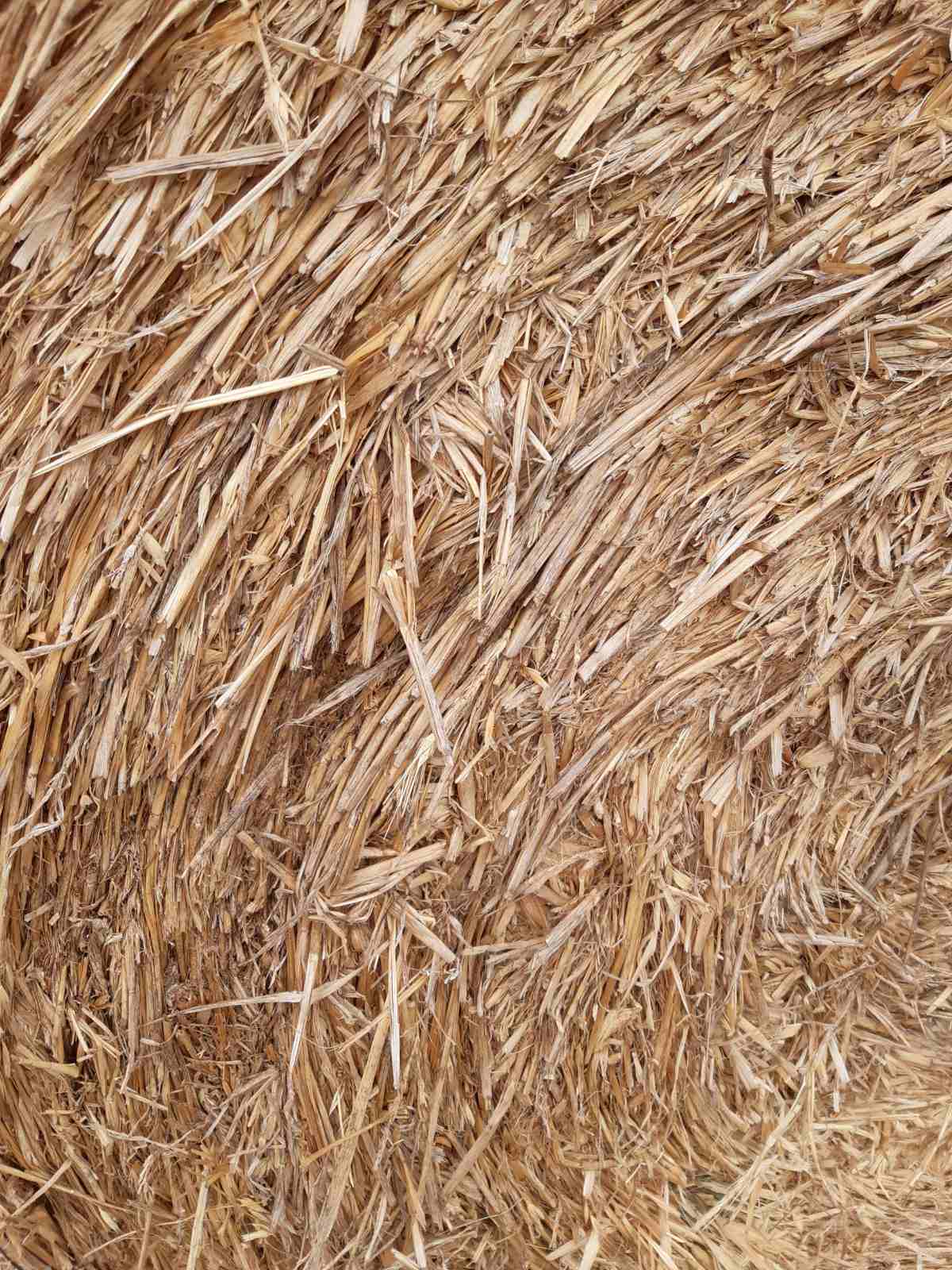 Round Bale Oaten Hay - Green