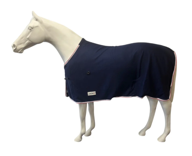Eureka- Polar Fleace Rug - Blue 63