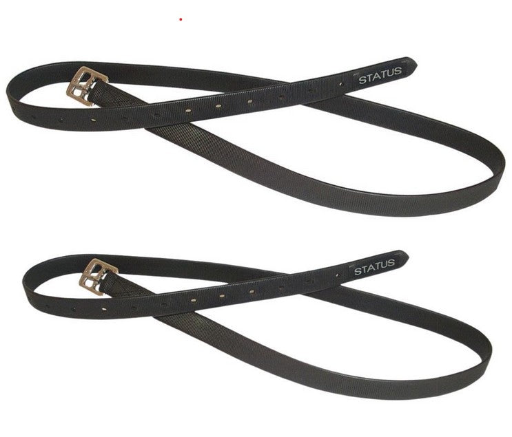 Status - Pvc 1" Leathers Black 56"