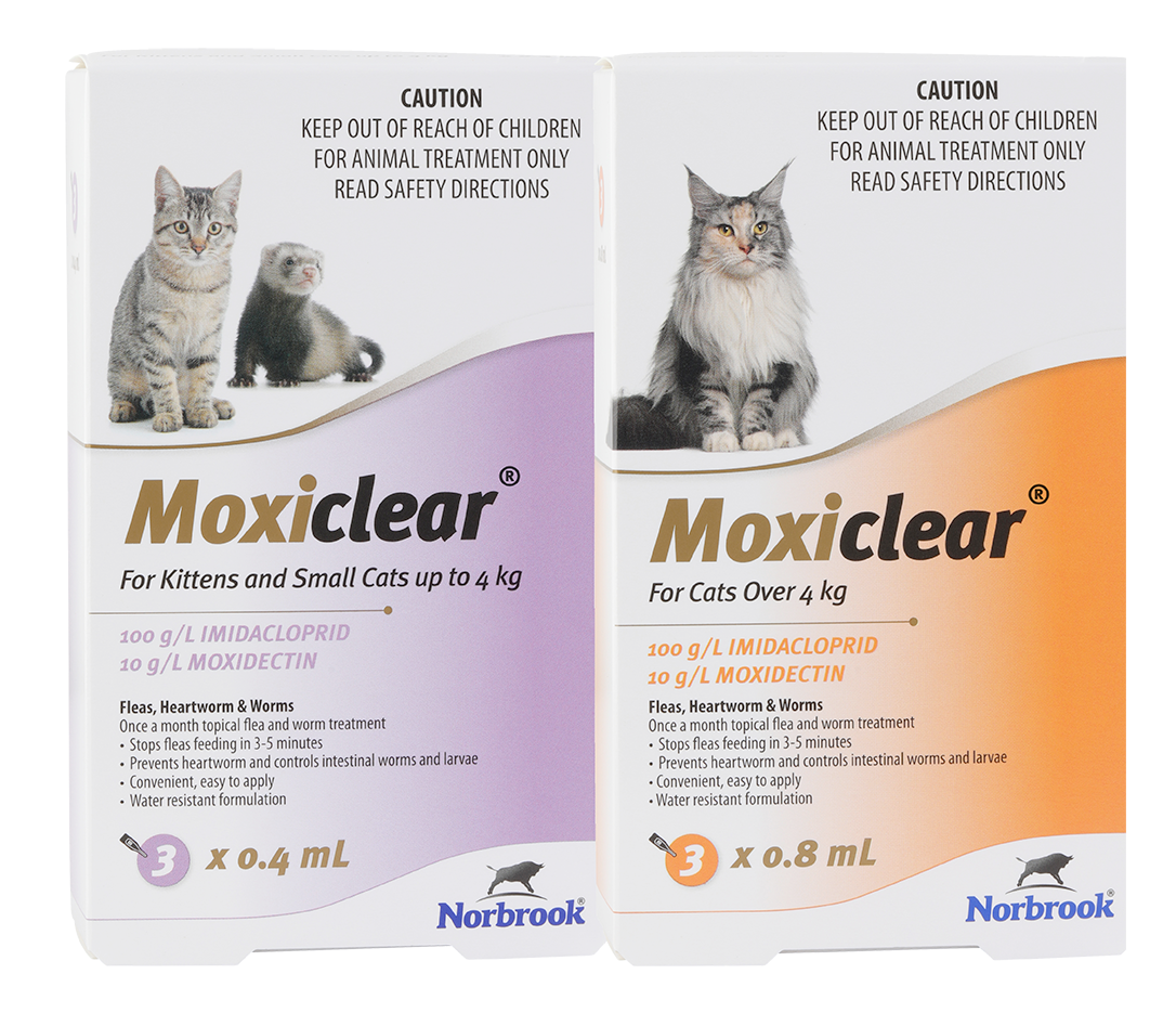 Moxiclear For Cats Over 4 Kgs