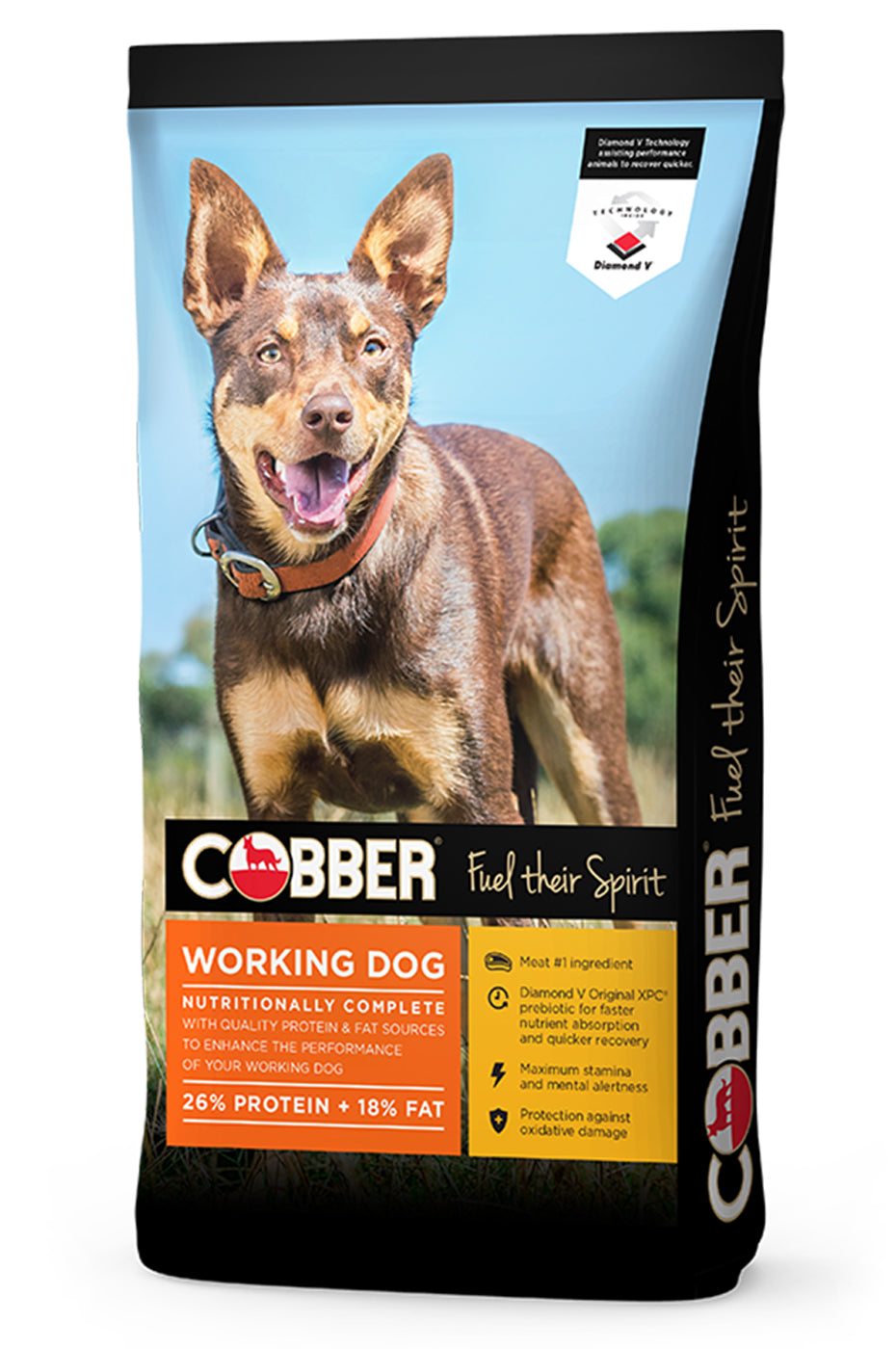 Cobber Dog Working Dog Beef 20kg