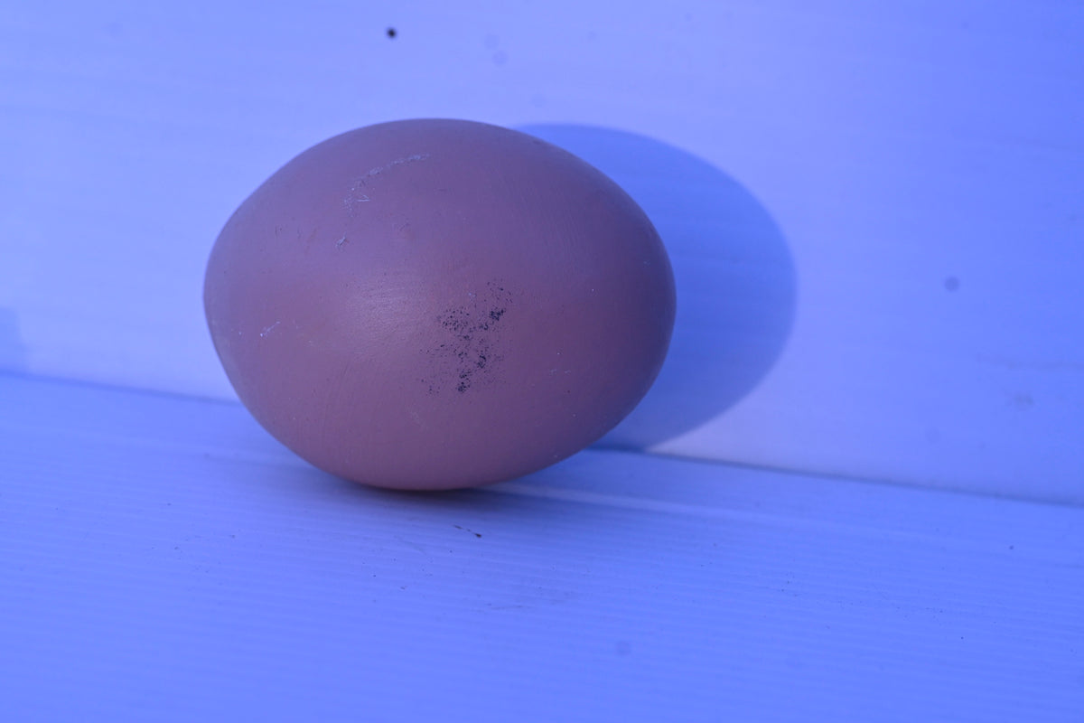 Nesting Eggs Poultry - Ceramic (2 Pack)