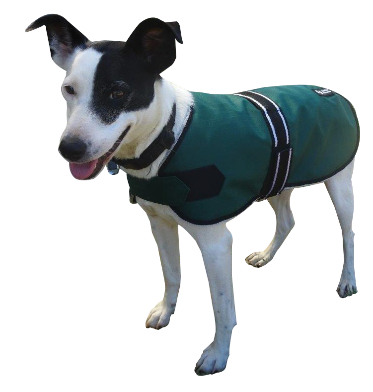 Eureka – 600 Denier Synthetic Fleece Lined Dog Coat [sz:55cm]