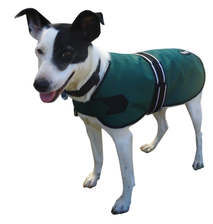 Eureka – 600 Denier Synthetic Fleece Lined Dog Coat [sz:55cm]