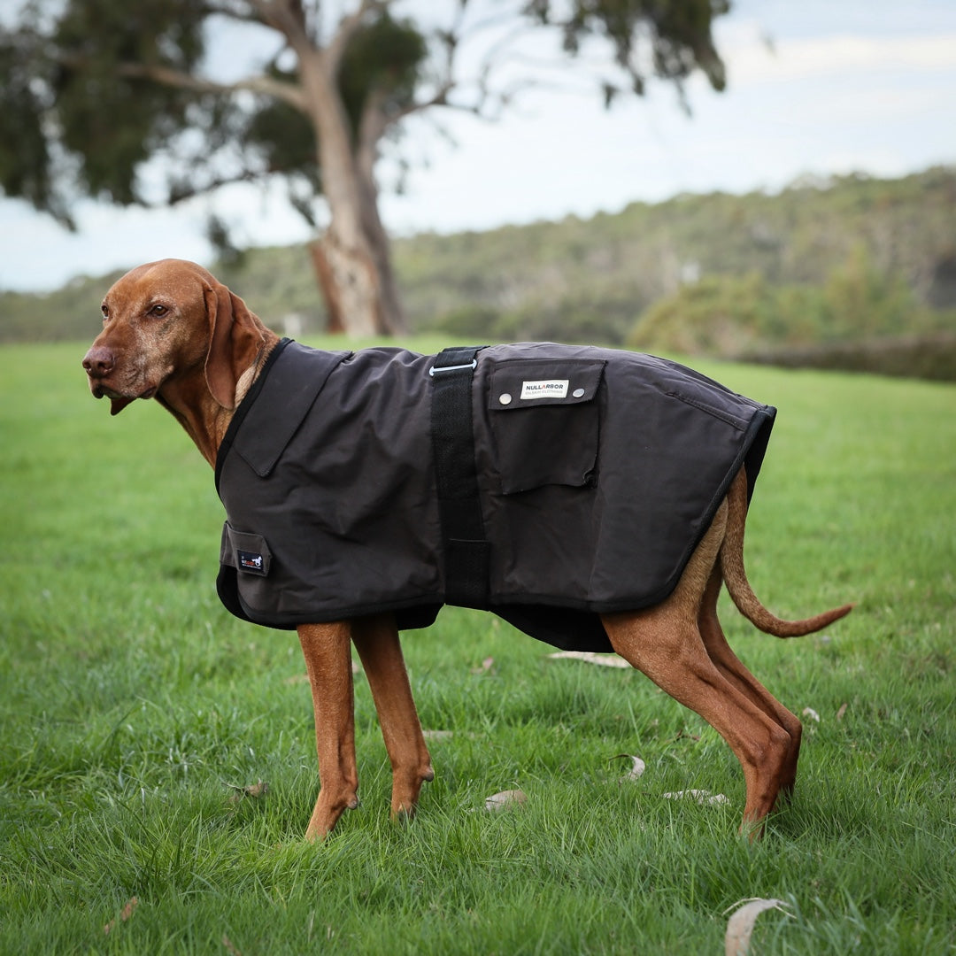 Nullarbor - Oilskin Dog Coat [sz:75cm]