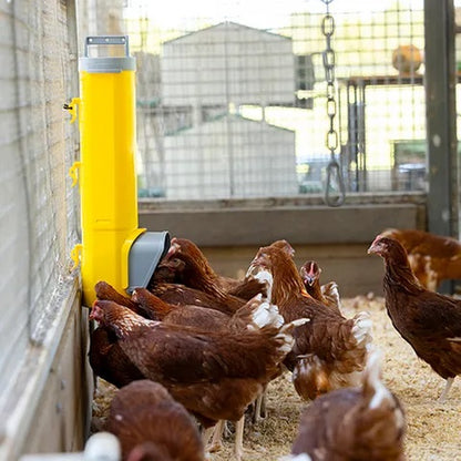 Bainbridge Chook Tower - Feeder 