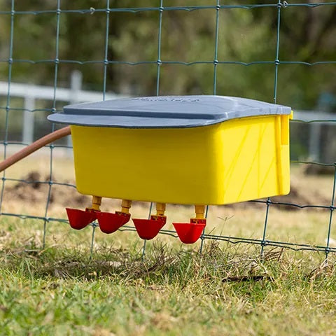 Bainbridge Automatic Poultry Waterer - Low Pressure Float