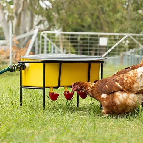 Bainbridge Automatic Poultry Waterer - Low Pressure Float