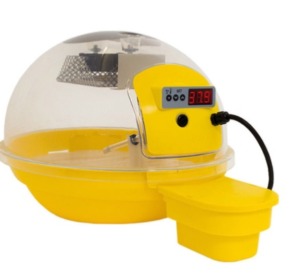 Bf Incubator 24 Egg Automatic Smart