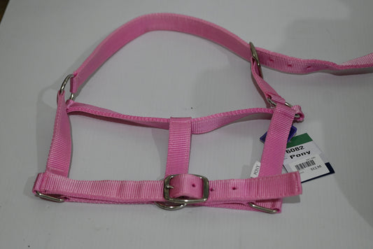 Eureka Buckle Halter Pony [cl:pink]