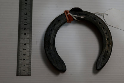 Concorde Steel T/c Hind [sz:4]