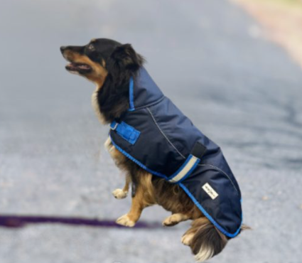 Eureka 600d Bounty Dog Coat Navy Blue [sz:40cm]