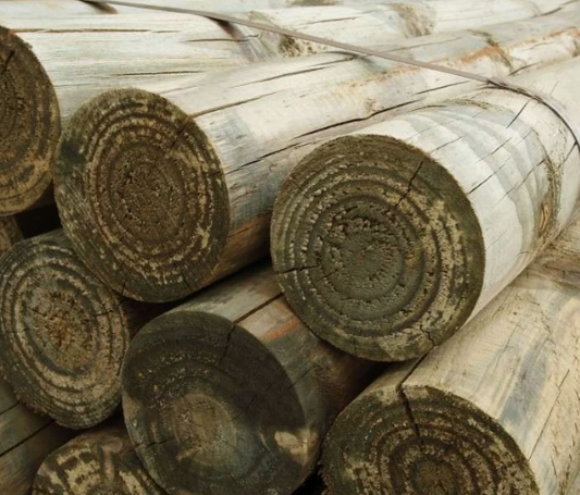 Pine Post 75/100mm  Pack Of 75 [le:1.8m (6ft)]