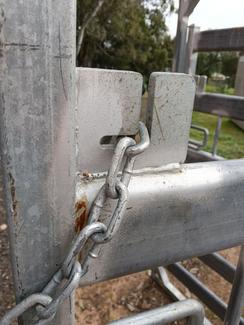Premium Bent Top Access Gate 1.25m