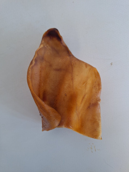 Pigs Ears Single