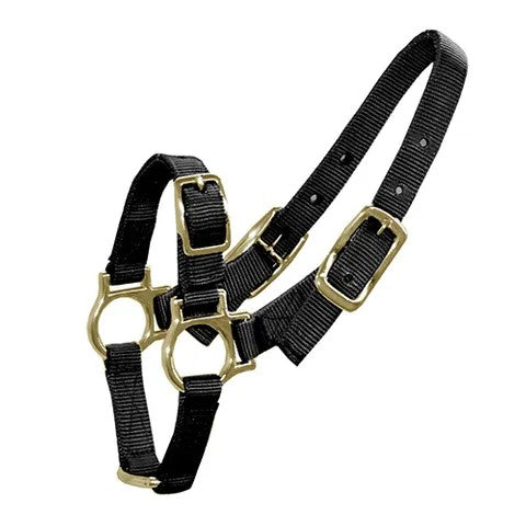 Sheep/goat Halter - Black [cl:black]