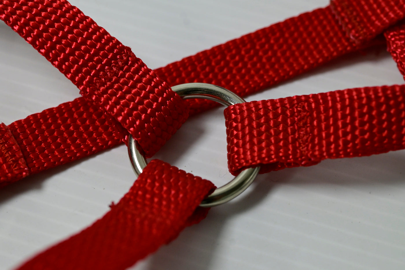 Premium Dog Harness [cl:blue Sz:s (1.5 X 40cm-50cm)]