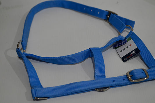 Eureka Buckle Halter Cob [cl:sky Blue]