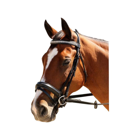 Showcraft - 3 Layers Of Diamonds Bridle