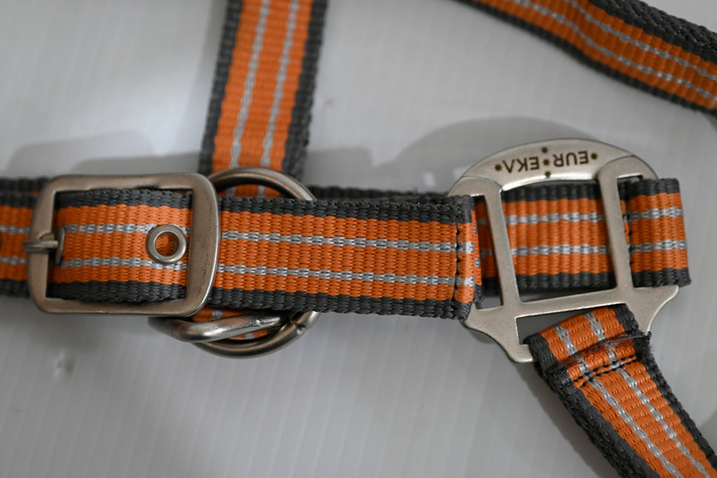Eureka Halter & Lead Set - Cob [cl:grey, Orange & White]