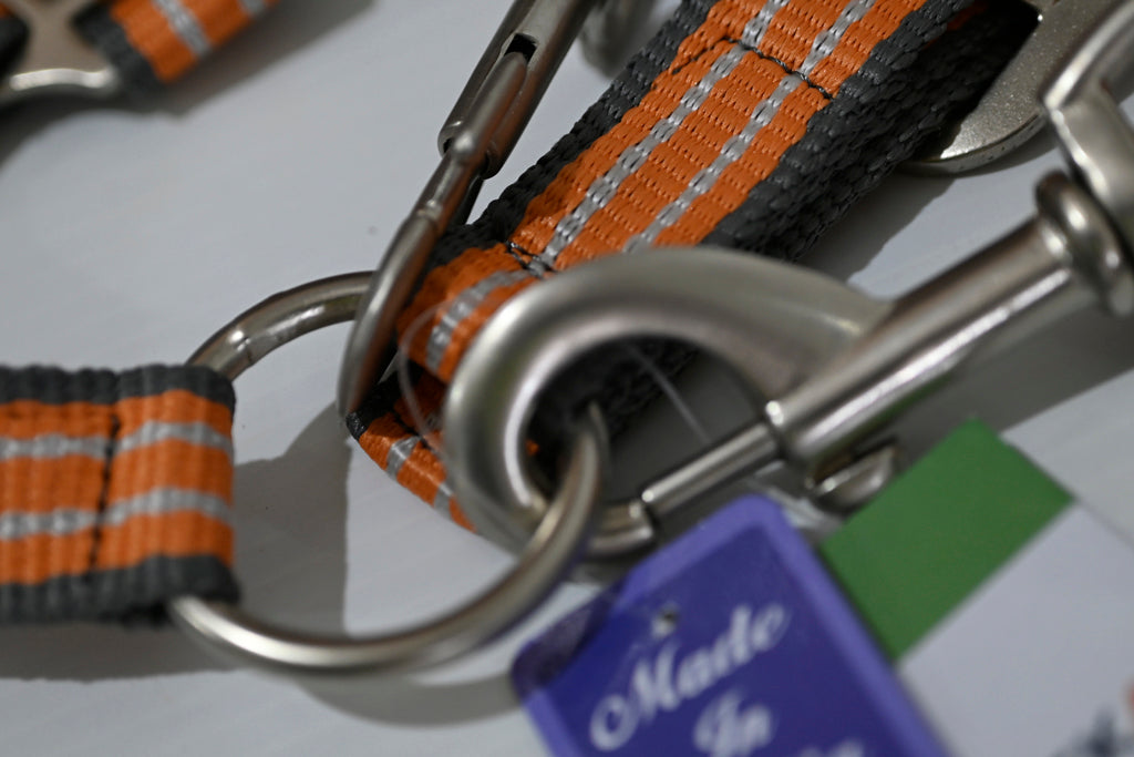 Eureka Halter & Lead Set - Cob [cl:grey, Orange & White]