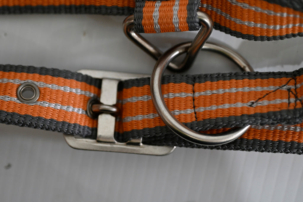 Eureka Halter & Lead Set - Cob [cl:grey, Orange & White]