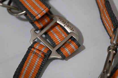 Eureka Halter & Lead Set - Cob [cl:grey, Orange & White]