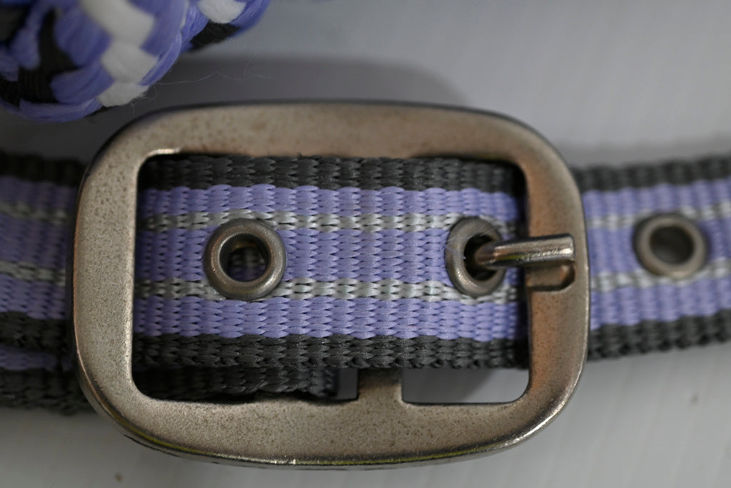 Eureka Halter & Lead Set - Cob [cl:grey, Lavender & White]