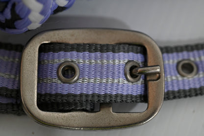 Eureka Halter & Lead Set - Cob [cl:grey, Lavender & White]