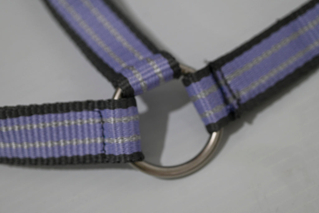 Eureka Halter & Lead Set - Cob [cl:grey, Lavender & White]