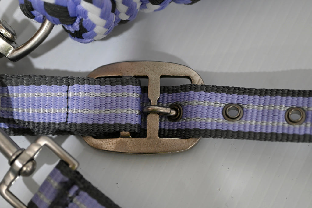 Eureka Halter & Lead Set - Cob [cl:grey, Lavender & White]