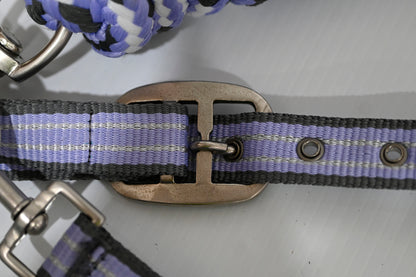 Eureka Halter & Lead Set - Cob [cl:grey, Lavender & White]