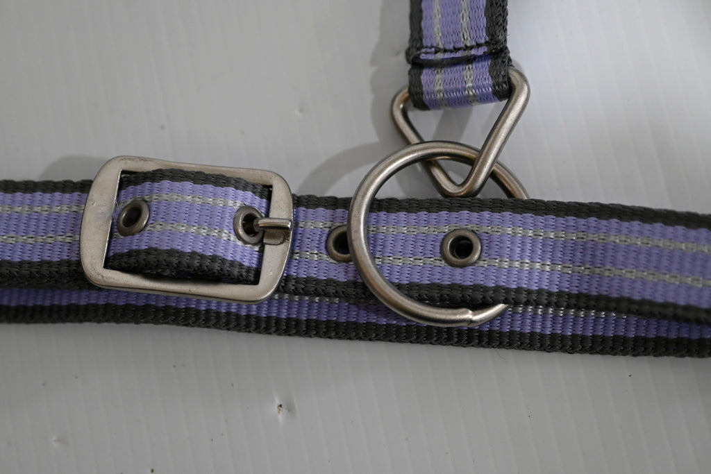 Eureka Halter & Lead Set - Cob [cl:grey, Lavender & White]