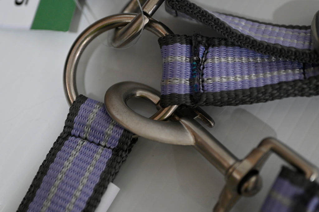 Eureka Halter & Lead Set - Cob [cl:grey, Lavender & White]