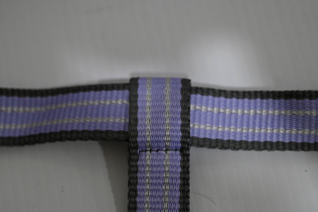 Eureka Halter & Lead Set - Cob [cl:grey, Lavender & White]