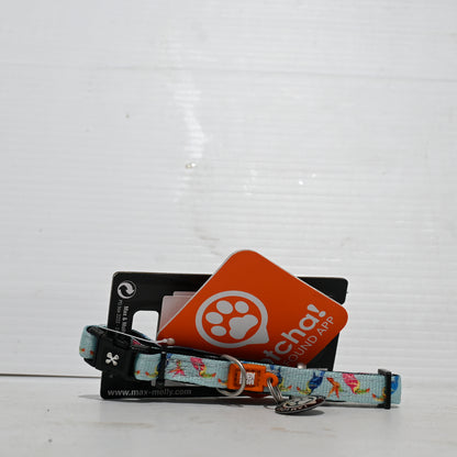 Max & Molly Smart Id Dog Collar [cl:paradise Sz:extra Small]