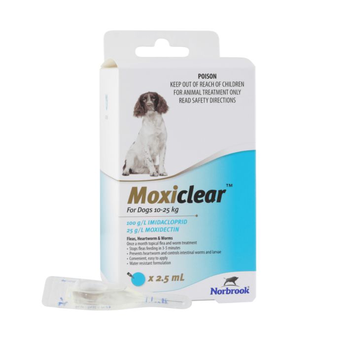 Moxiclear For Dogs 10-25kgs 6 Pack