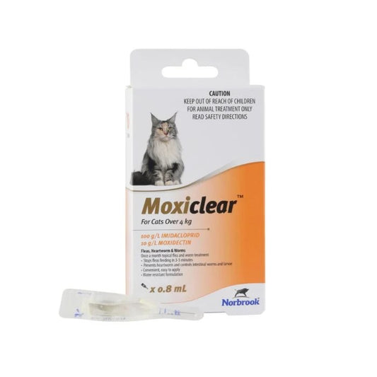 Moxiclear For Cats Over 4 Kgs 6 Pack