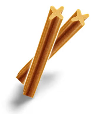 Pedigree Snacks Dentastix Lge Giant 7pc [sz:7pc]