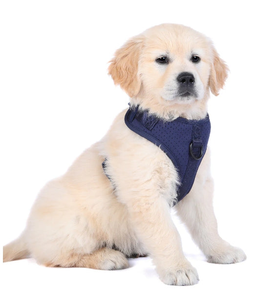 Doog Neosport Soft Harness [cl:navy Blue Sz:medium]