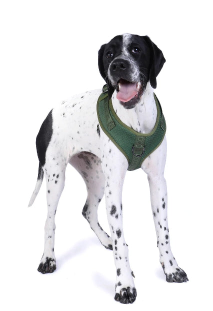 Doog Neosport Soft Harness [cl:green Sz:x Small]