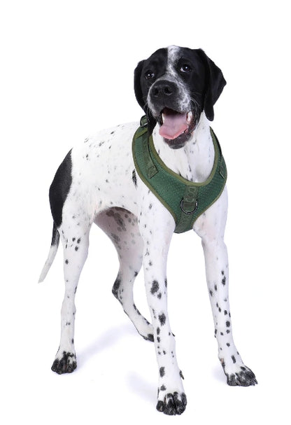 Doog Neosport Soft Harness [cl:green Sz:x Large]