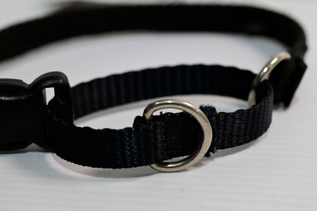 Blackdog Training Collar Medium  (neck Adj. 35-43cm) [cl:black Sz:medium]