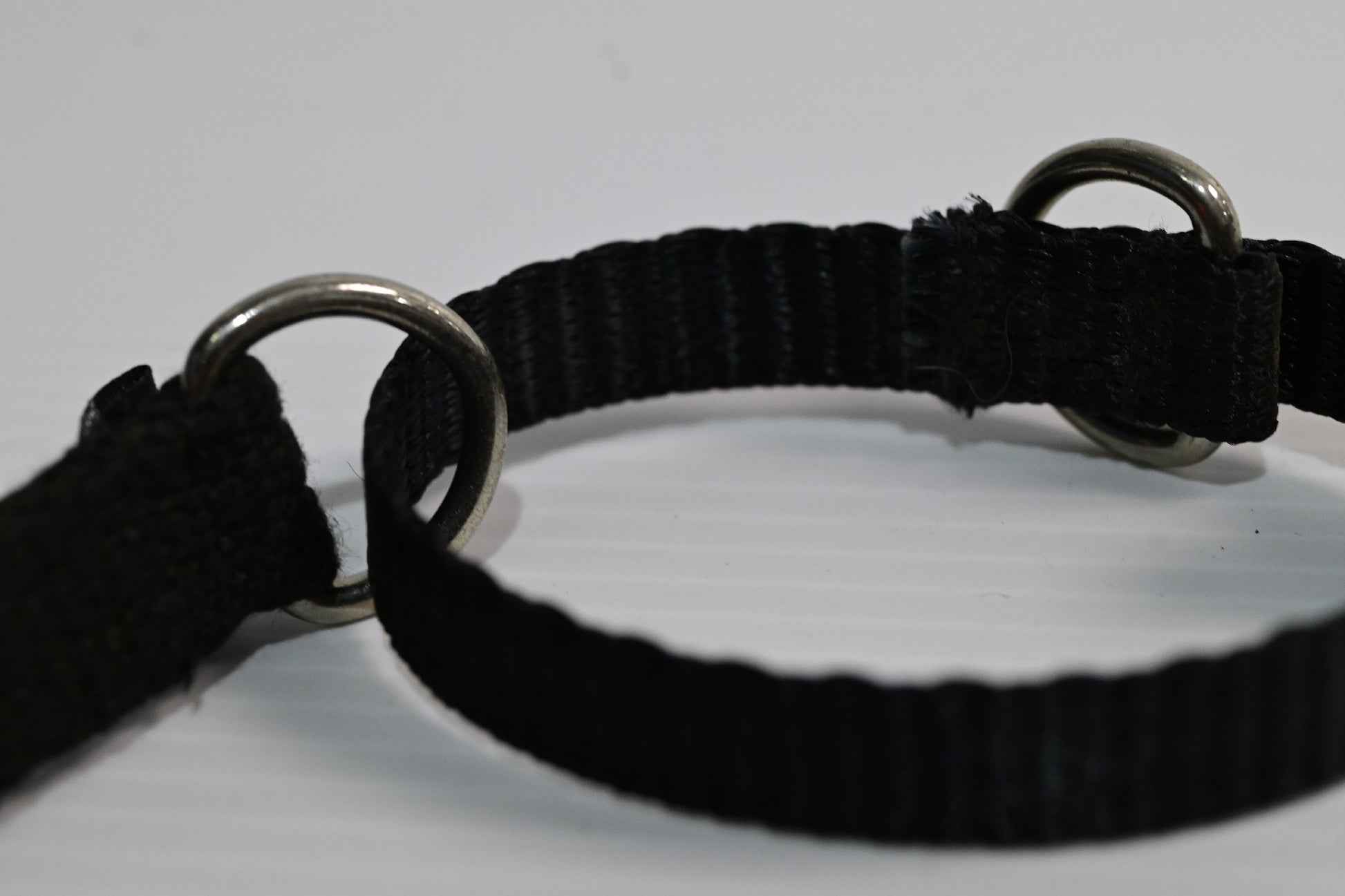 Blackdog Training Collar Medium  (neck Adj. 35-43cm) [cl:black Sz:medium]