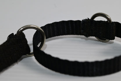 Blackdog Training Collar Medium  (neck Adj. 35-43cm) [cl:black Sz:medium]
