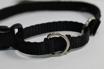 Blackdog Training Collar Medium  (neck Adj. 35-43cm) [cl:black Sz:medium]