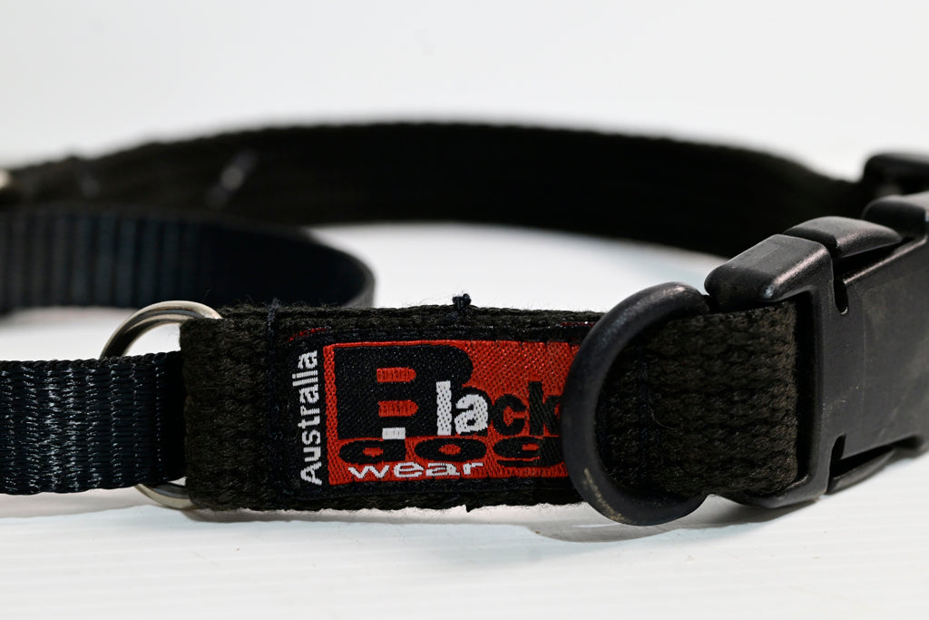 Blackdog Training Collar Medium  (neck Adj. 35-43cm) [cl:black Sz:medium]