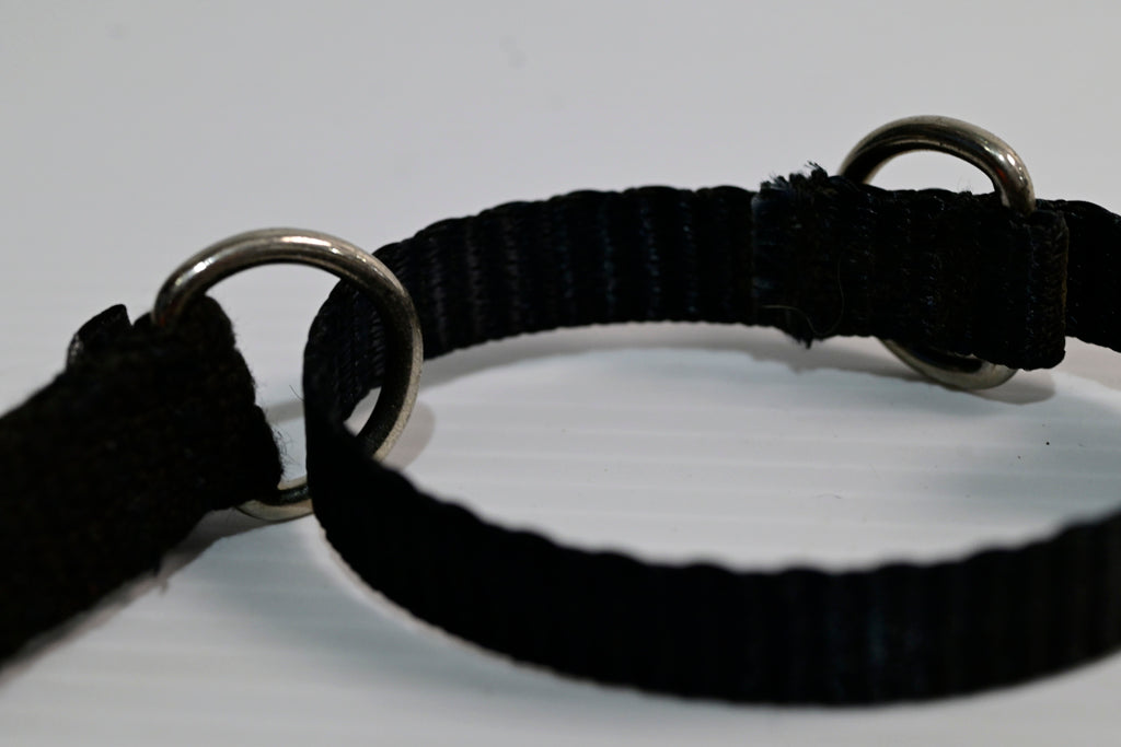 Blackdog Training Collar Medium  (neck Adj. 35-43cm) [cl:black Sz:medium]